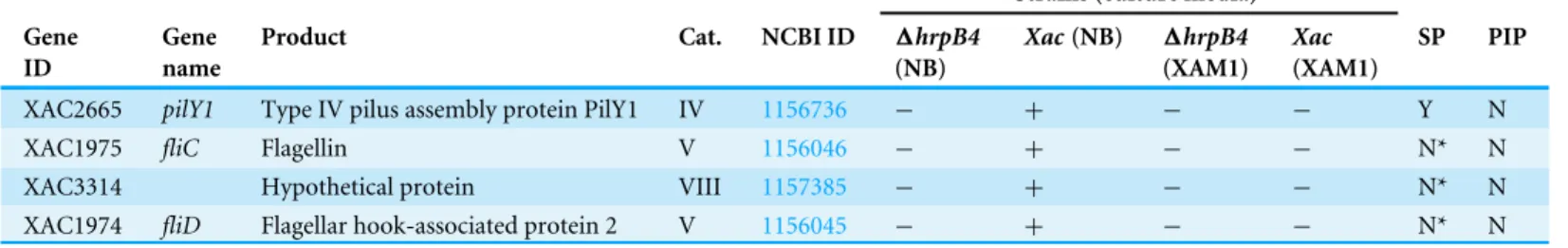 Table 4 Proteins expressed/detected only in wild type strain during non-infectious conditions.