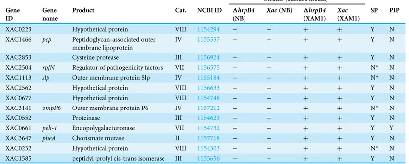 Table 1 Proteins expressed/detected in wild type and 1hrpB4 strains only in infectious conditions.