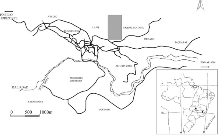 Figure 1 Ouro Preto urban zone. The Morro da Queimada site is indicated by the shaded rectangle