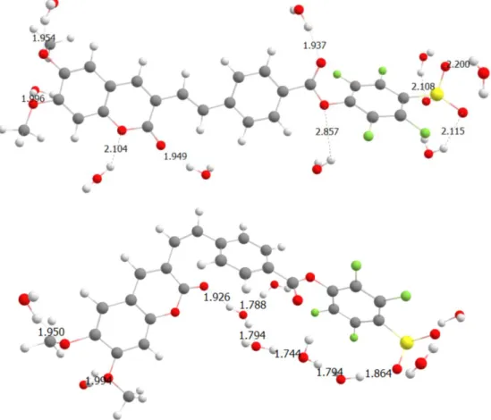 Figure 2.7 Optimized molecular geometry for  E-C392STP (up) and Z-C392STP (down) in  the PCM/water explicit model, at the B3LYP/6-31+G(d) level