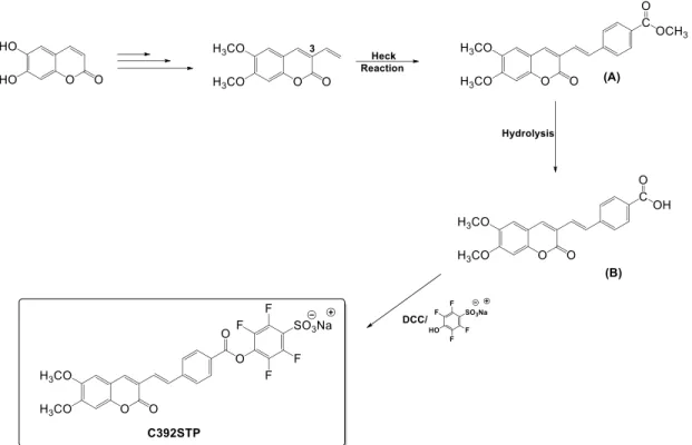 Figure  3.1  Synthesis  of  sodium  (E/Z)-4-(4-(2-(6,7-dimethoxycoumarin-3-yl)vinyl)-benzoyl)- (E/Z)-4-(4-(2-(6,7-dimethoxycoumarin-3-yl)vinyl)-benzoyl)-2,3,5,6-tetrafluoro-benzenesulfonate (C392STP)