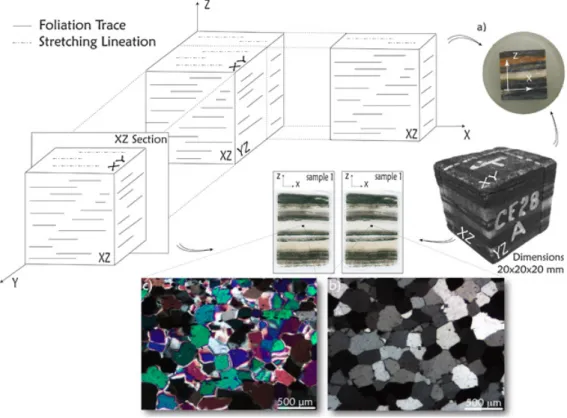 Figure 2 - Schematic figure illustrating the tree kinds of prepared samples. Blocks  with 20x20x20 mm blocks with 15x15x7 mm were cut and closed in epoxy resin (a); 