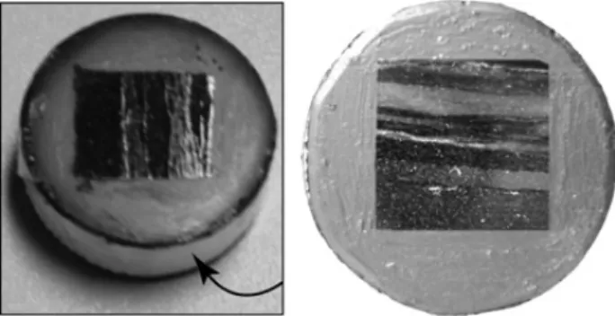 Figure  7  -  Mosaic  of  quartz  band,  from  which  the  region  to  be  analyzed  was  selected