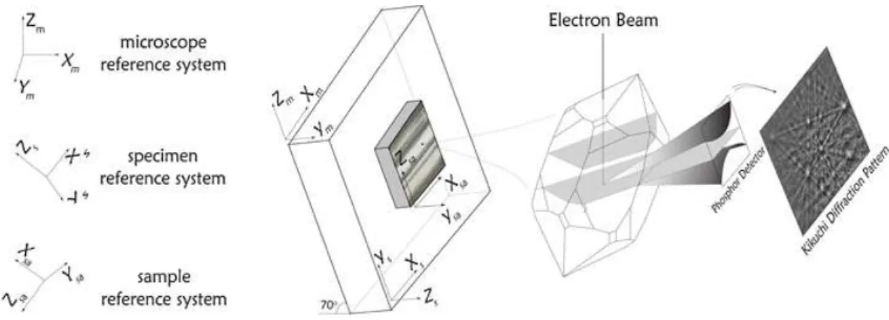 Figure 10 - Schematic illustration showing the sample positioned in the SEM camera. The sam- sam-ple must be tilted at 70º the reference system of the microscope and the specimen (EBSD) and the  sample reference system must be also coincident (to sample re