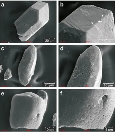 Fig. 3. SEM images of three of the zircon grains analyzed for U and Pb. The grain in (a – b) is euhedral and has planar features (PFs; grain 2 in Table 1), (c – d) contains both PFs and partial development of granules, and is rounded at its edges but still