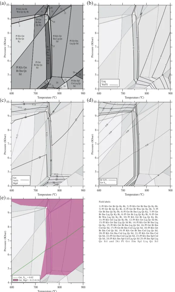 Fig. 11.P–T pseudosection calculated with bulk composition from sample CC37 (assemblage 2)
