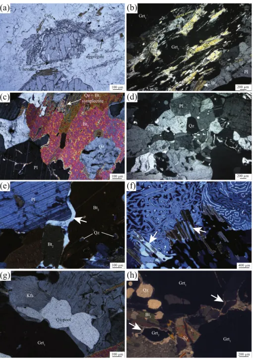 Fig. 5. Photomicrographs of microstructures observed in rocks from assemblages 2 and 3