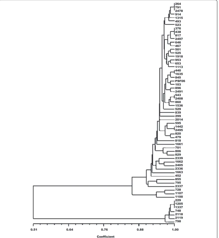 Fig. 3 UPGMA (Unweighted Pair-Group Method Analysis) phenogram of all 63 isolates of Trypanosoma cruzi