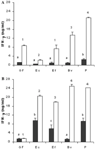 Fig. 2. IFN- production by spleen cells from Swiss/NIH mice, germ- germ-free (GF) or mono-associated with Escherichia coli (EC), Enterococcus faecalis (EF), Bacteroides vulgatus (BV), and Peptostreptococcus sp