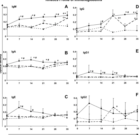 Fig. 1. Kinetic profiles of immunoglobulins in dogs experimentally infected with blood trypomastigotes ( BT) or metacyclic trypomastigotes ( MT) of T