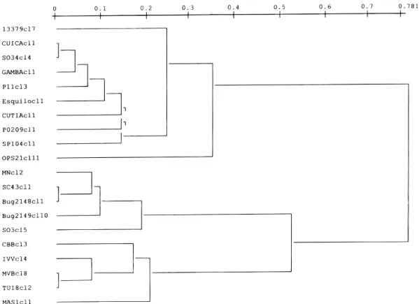 FIG. 1. An UPGMA (unweighted pair-group method with arithmetic averages) dendrogramme (Sneath and Sokal 1973) depicting the phyloge- phyloge-netic relationships among the 20 Trypanosoma cruzi stocks under study, assayed by 22 isoenzyme loci (Tibayrenc et a