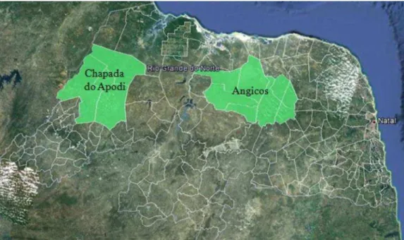 Figura 1- Mapa do Rio Grande do Norte com as microrregiões em estudo em destaque.  