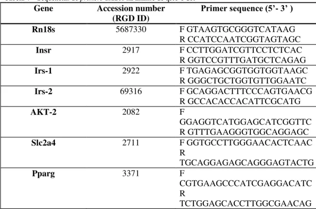Tabela 4 – Sequências de primers usados na análise de qRT-PCR 
