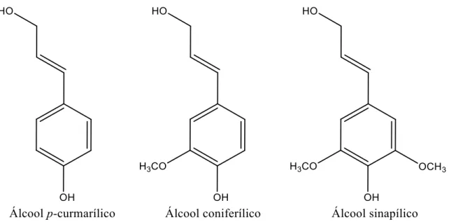Figura  4:  Precursores  primários  envolvidos  na  formação  da  lignina  por  polimerização  desidrogenativa (álcool p-cumarílico, álcool coniferílico e álcool sinapílico)