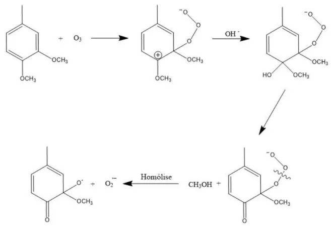 Figura 10: Mecanismo de reação para a formação do radical superóxido durante o pré- pré-tratamento com ozônio, em condições alcalinas, de uma unidade de lignina aromática