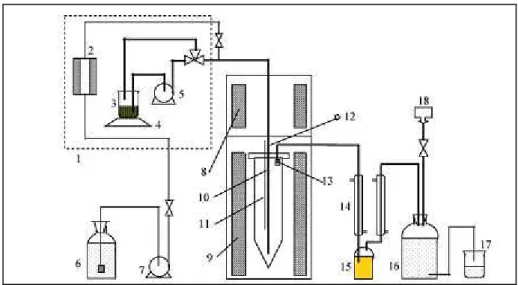Figura 6 Diagrama esquemático de um reator experimental: (1) caixa de temperatura constante, (2) forno a vapor, (3) alimentação; (4) balança eletrônica; (5) bomba de óleo; (6) reservatório de água (7); bomba de água; (8) pré aquecedor; (9) forno reator (10