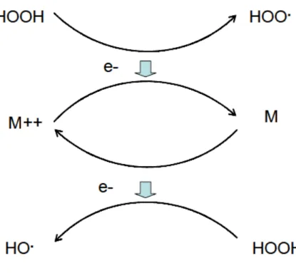 Figura 3 – Decomposição catalítica do peróxido de hidrogênio por meio de íons metálicos