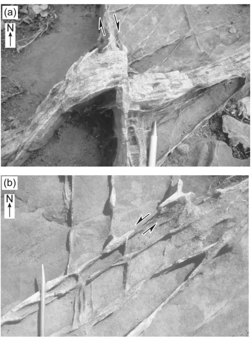 Fig. 9. Conjugate NNW- and NE-trending Riedel fractures dislocating each other by, respectively, (a) dextral movement and (b) sinistral movement.