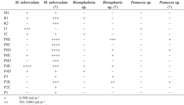Table 2. Occurrence of snail with soft parts of organism and snails without soft parts (*) in the points of sampling quantita- quantita-tive of Piranhas-Assu Basin (RN)