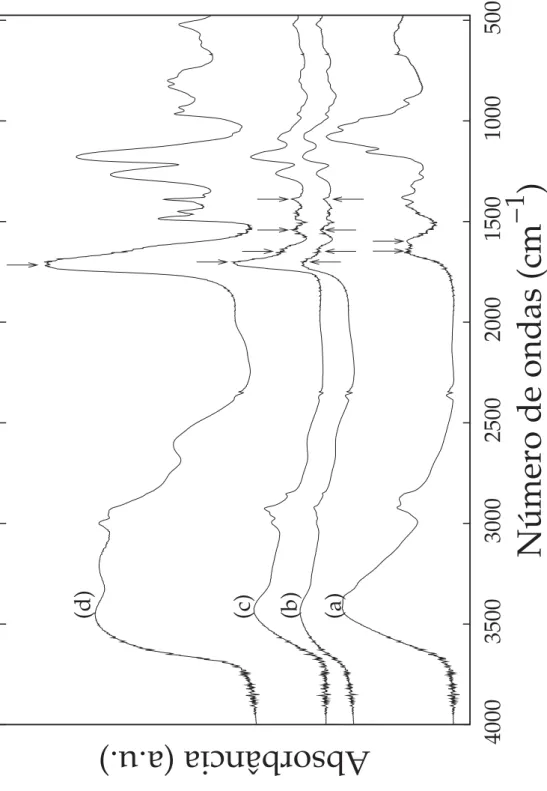 Figura 4.1: Espectro de FTIR da quitosana (a), dos PECs obtidos pelo método de polimeri- polimeri-zação em molde [rCOOH / NH 2 = 5, 6] (b), dos PECs obtidos pelo método de gotejamento [rCS / PMAA = 0,25] (c) e do PMAA (d).