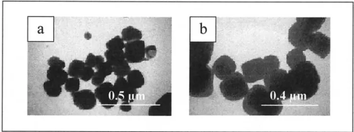 Figure 2. TEM micrographs of BaTiO 3 powders produced by hydrothermal synthesis at 220°C for 8 hours
