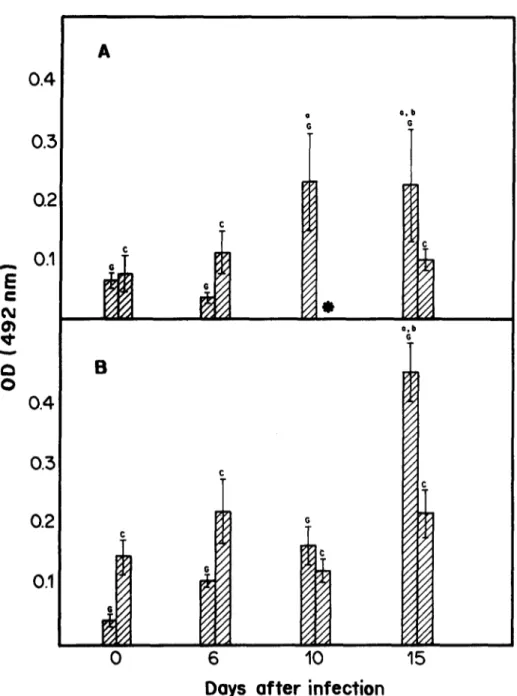 Fig.  3.  Mean  levels of  IgM  (A)  and  IgG  (B) determined  by  ELISA  in  control  gnotobiotic  (G)  and  conventional  (C) mice