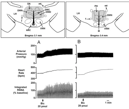 Fig. 1. Upper panel: Gray shading indicates the dorsomedial hypothalamus as referred in this review (3.1–3.4 mm posterior to Bregma according to atlas of Paxinos and Watson, 1986)