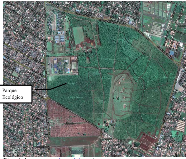 Figura 6. Vista Aérea da Reserva Ecológica do Colégio Militar de Campo Grande