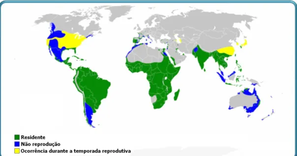 Figura  1.  Distribuição  mundial  da  garça-vaqueira.  Colorações  diferentes  indicam  as  regiões  onde  a  espécie  foi  reportada  como  residente,  onde  ela  não  se  reproduziu  e  onde  ocorre  apenas  na  temporada  reprodutiva