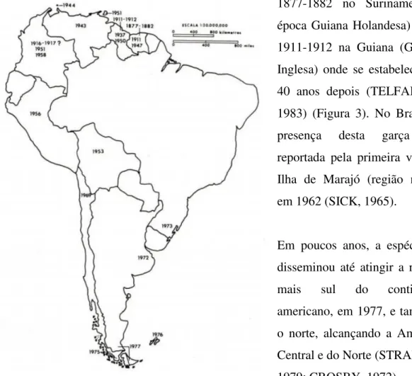 Figura 3. Mapa de América do Sul mostrando as datas e países  onde foram avistadas pela primeira vez as garças-vaqueiras