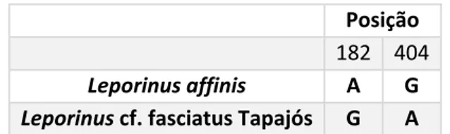 Tabela 5 - Caracteres diagnósticos para as linhagens de Leporinus affinis. Em negrito as posições exclusivas de uma linhagem