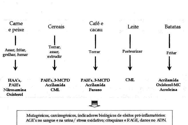 Figura 1.1- Produtos indesejáveis formados durante a preparação doméstica e industrial dos alimentos a  altas temperaturas (Adaptado de: Studer et