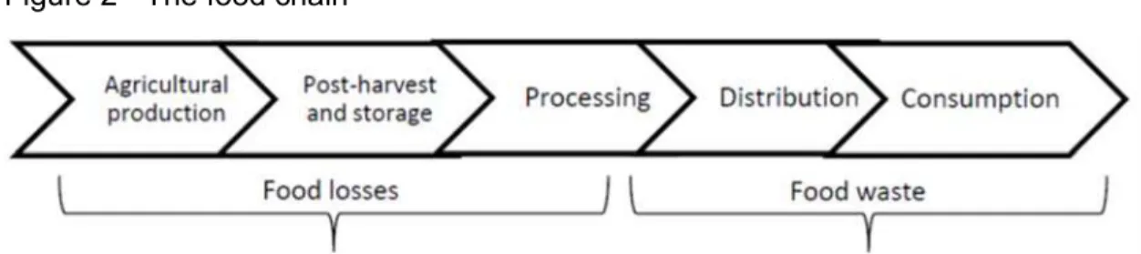 Figure 2 - The food chain 