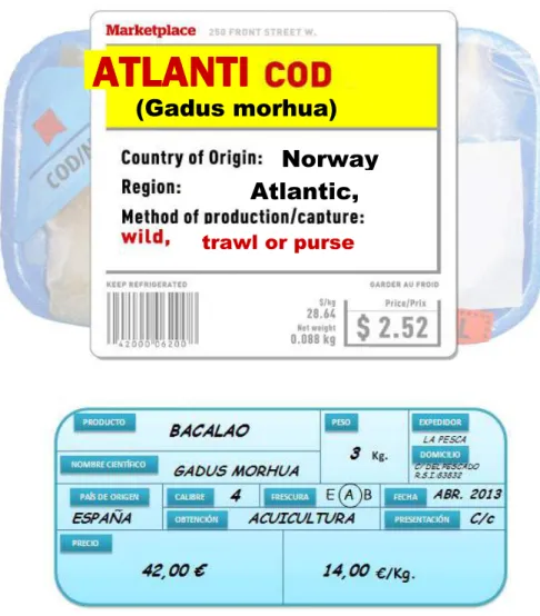 Figure 9 - Example of labels found in the European market in fresh fishery and aquaculture products.