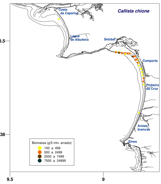 Figura 8 – Distribuição e rendimento médio da pesca de ameijola   na zona Ocidental Sul (Junho 2014)