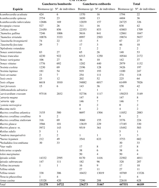 Tabela 1 – Biomassa (g) e abundância (nº de indivíduos) por taxa, na totalidade das estações  amostradas (Junho 2014)