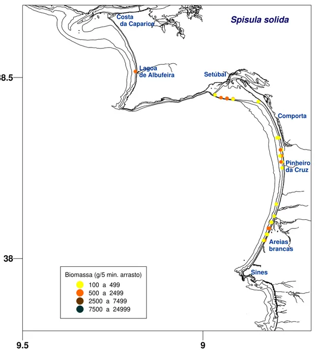 Figura 4 – Distribuição e rendimento médio da pesca de amêijoa-branca   na zona Ocidental Sul (Junho 2014)