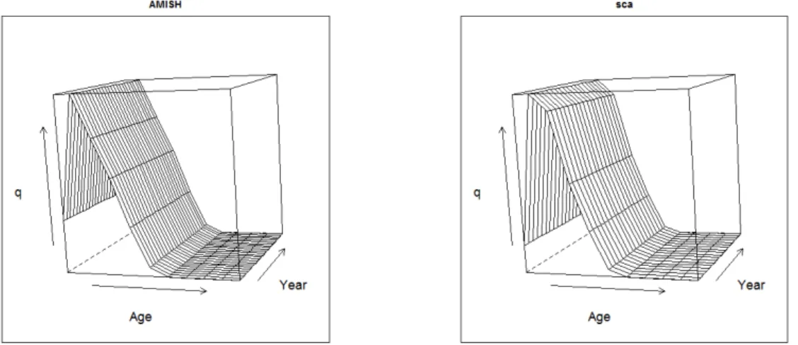 Figure 6. Age dependent catchability for 1992-2016 as estimated by AMISH (left) and from sca (right)  and used to condition the OM