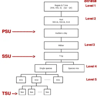 Figure 3.1. Current at-market sampling design (Azevedo et al., 2016) 
