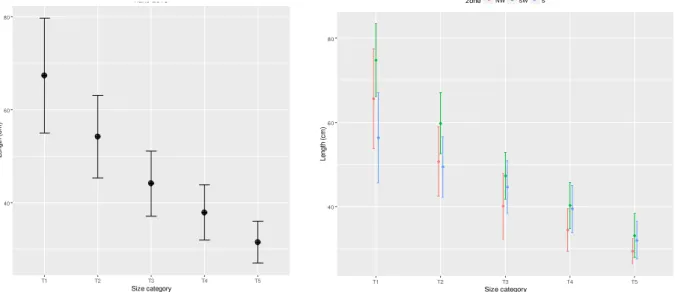 Figure 3.3.  Mean length (± 1 standard deviation) by size category in 2013. Left – all samples  combined; right – samples by zone