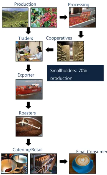 Figure 4: The Coffee Supply Chain