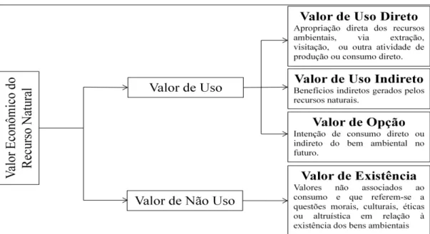 Figura  1  -  Decomposição  do  valor  econômico  de  um  recurso  ambiental.  Fonte:  adaptado  Maia, Romeiro e Reydon (2004) 