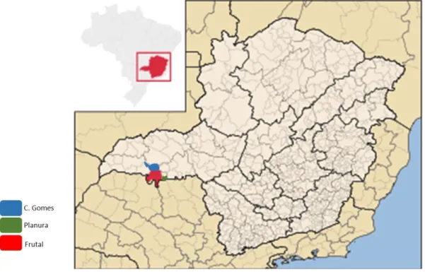 Figura 4: Mapa dos municípios de Comendador Gomes, Frutal e Planura. 