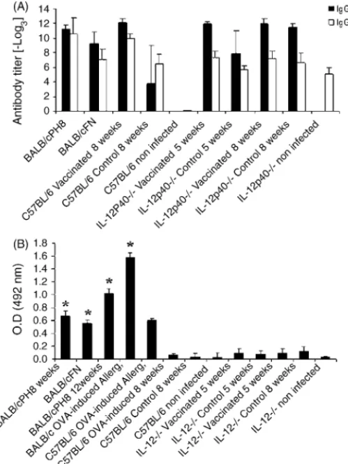 Fig. 3. Antibody isotypes in control and vaccinated C57BL/6 and IL-12p40 −/−