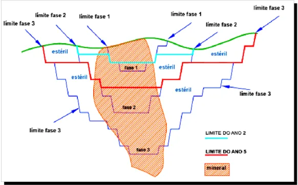Figura 10 – Seção transversal de uma cava, mostrando três fases e suas localizações depois  do 2º e 5º ano (Calder, 2002).