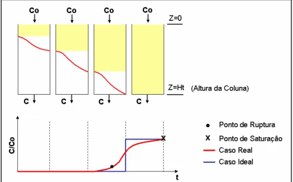 Figura 2.3 0 Representação da dinâmica de adsorção em coluna de leito de fixo.