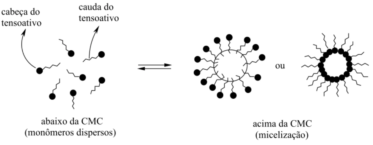Figura 3 – Representação esquemática de formação micelar de tensoativos iônicos