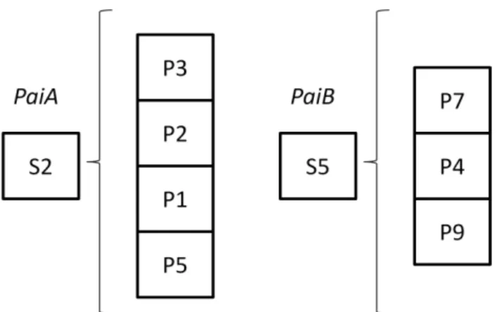 Figura 14 – Estado final pós-distribuição dos poços na etapa de reprodução 