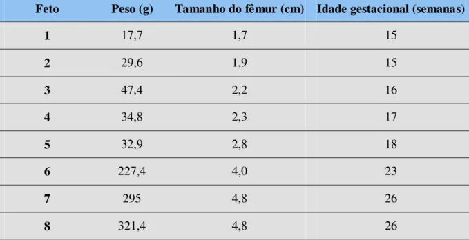 Tabela 2. Peso em gramas, tamanho do fêmur em centímetros e provável idade gestacional em  semanas, dos fetos