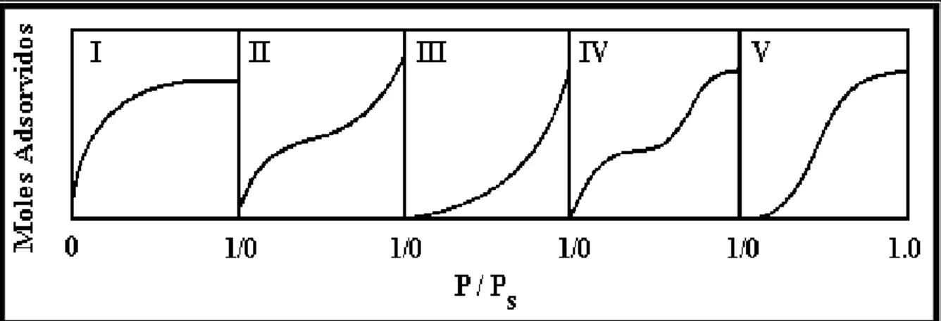 Figura 3-2: Modelos de isotermas de Brunauer. P/Ps = P/P 0  = pressão relativa, Moles  adsorvidos = [mol/g de adsorvente]